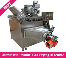 Automatic Peanut Gas Frying Machine