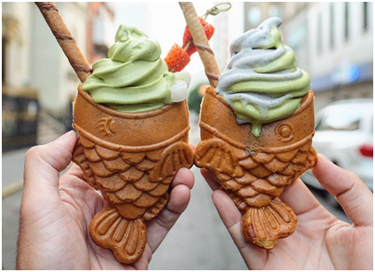 Have you ever seen Fish-Shaped Cones