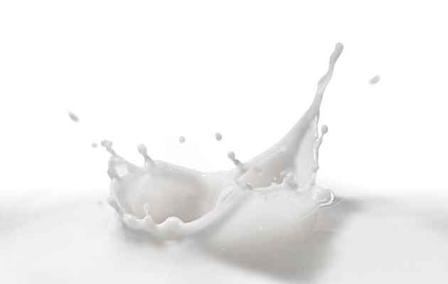 milk proteins