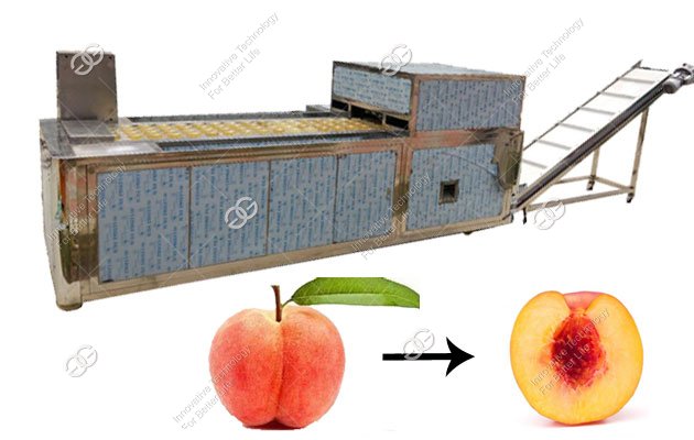 Automatic Peach Core Removing Machine Factory|Peach Core Pitt