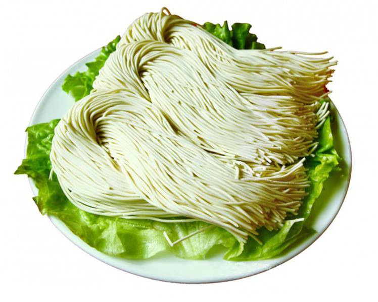 fresh noodle