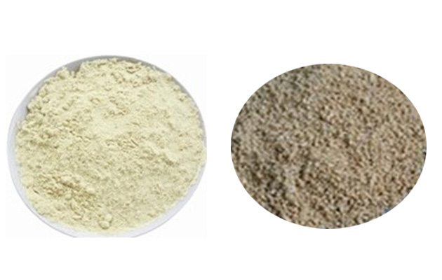 How to Grinding Coffee Bean 