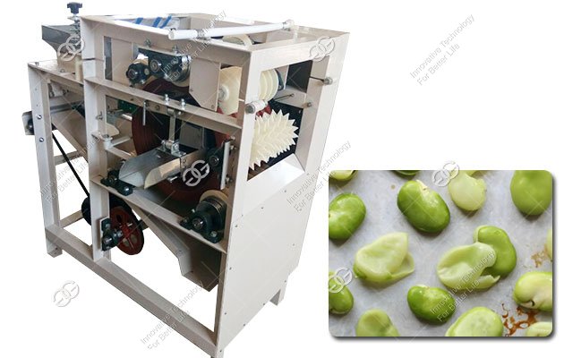 Commercial Horse beans Peeling Machine Working Video