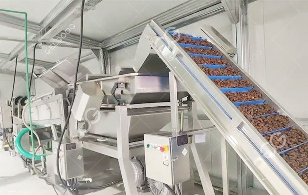 Dubai Date Palm Washing Sorting Packaging Project