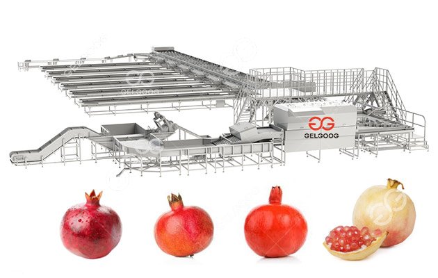 Automatic Granada Pomegranate Sorting Line 1t/h