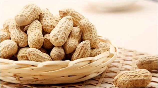 What is most important in the peanut processing progess?