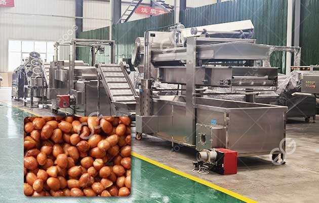 Peanut Frying Machine Manufacturer