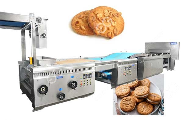 Production Line for Peanut Biscuit