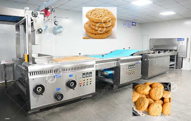 Peanut Biscuit Production Line Price
