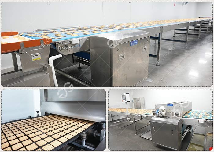 Cream Crackers Production Line Automatic
