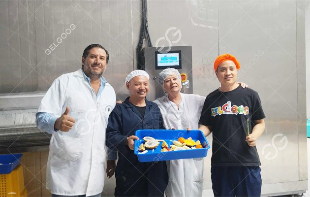 Ecuador Vegetable Quick-freezing Line