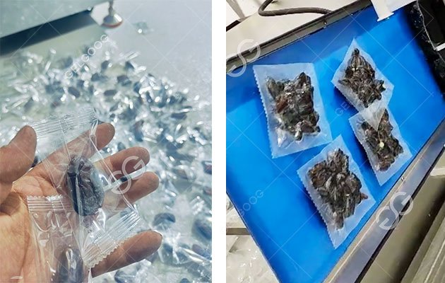 Date Washing Sorting and Packing Project in Dubai Date Washing Sorting and Packing Project in Dubai