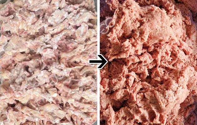 Grinder Machine for Bone Meat