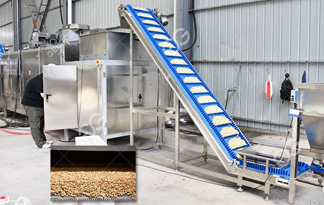 Roasted Peanut Production Line