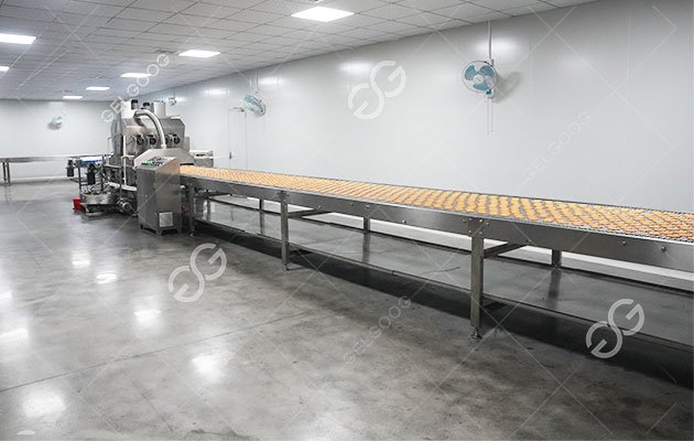 Automatic Biscuit Production Line For Russia