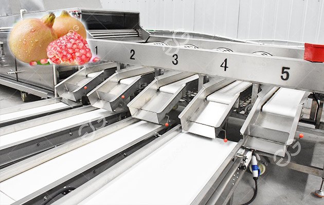 Pomegranate Sorting Machine