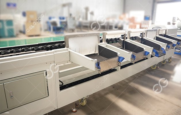 Granada Fruit Sorting Line