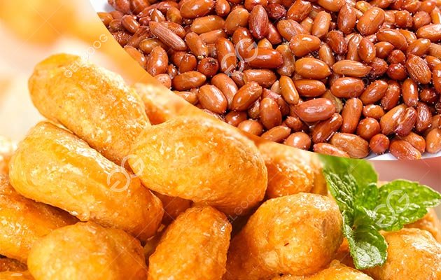 Machine for Salted Peanuts and Cashew