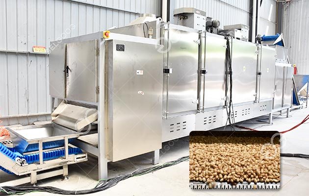 Automatic Salted Peanut Making Machine