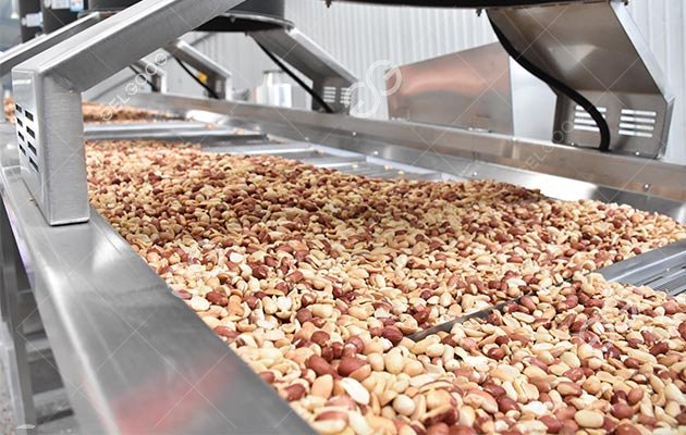 Peanut Processing Machine