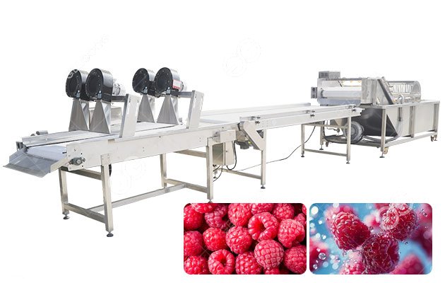 Raspberry Washing Line