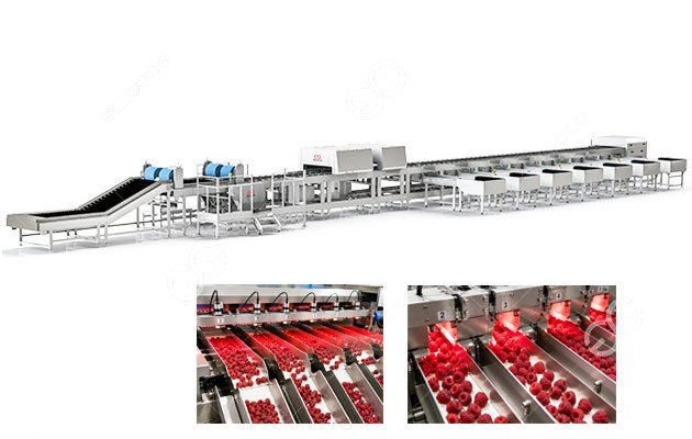 Raspberry Sorting Machine