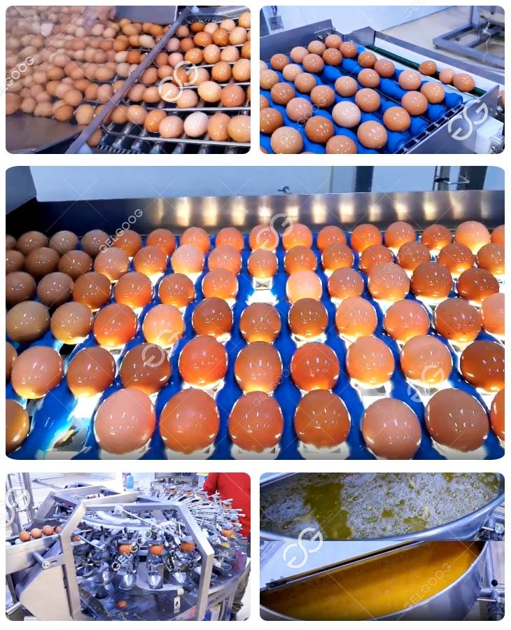 Liquid Egg Production Line GELGOOG