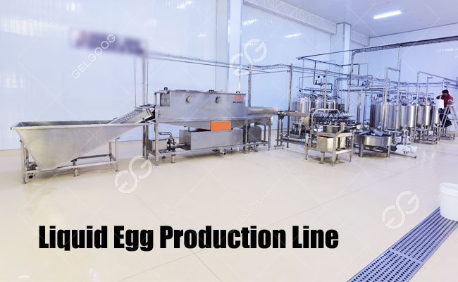 Industrial Liquid Egg Production Line