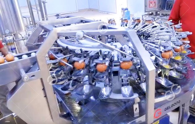 Liquid Egg Production Line
