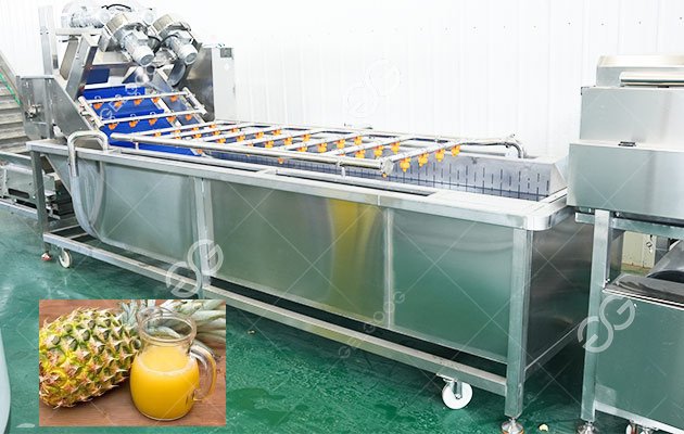 Pineapple Washing Machine Pineapple Washing Machine